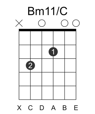 Bm11/C