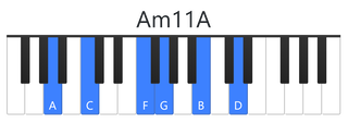 Am11A
